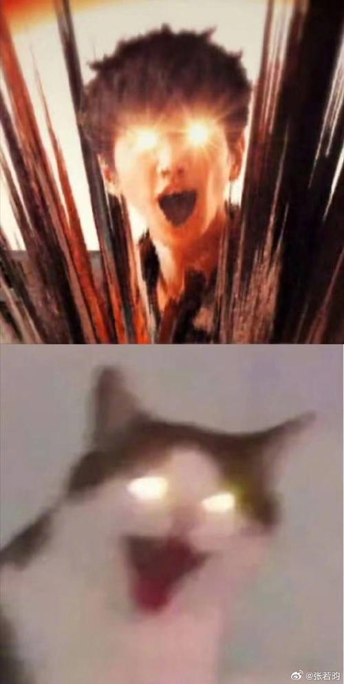 @张若昀