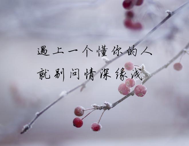 遇上一个懂你的人 就别问情深缘诚