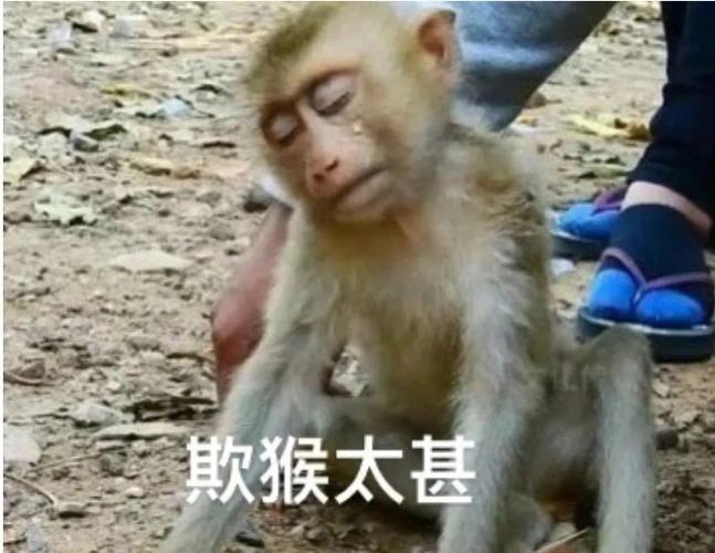 欺猴太甚
