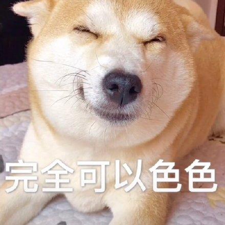 完全可以色色