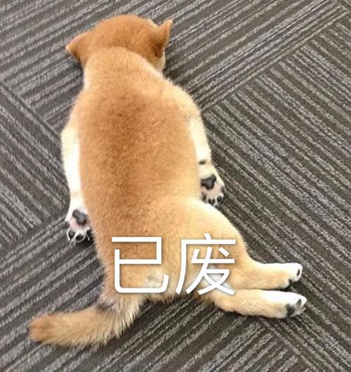 已废二