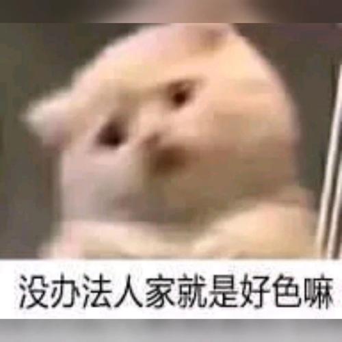 没办法人家就是好色嘛