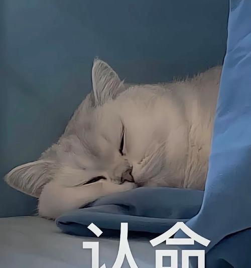 认金