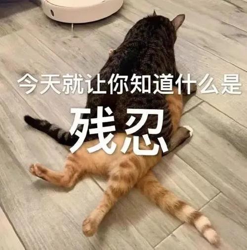 今天就让你知道什么是 残忍