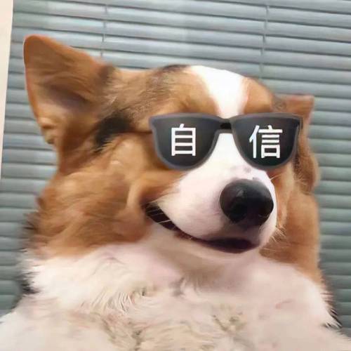 自 信