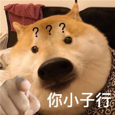 你小子行