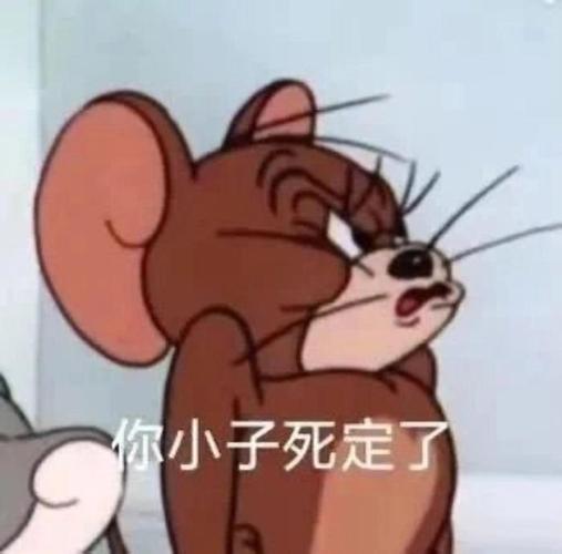 你小子死定了