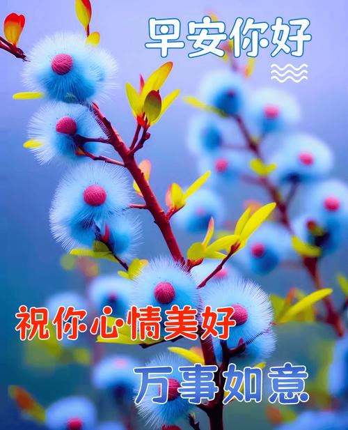 早安你好 祝你心情美好 万事如意