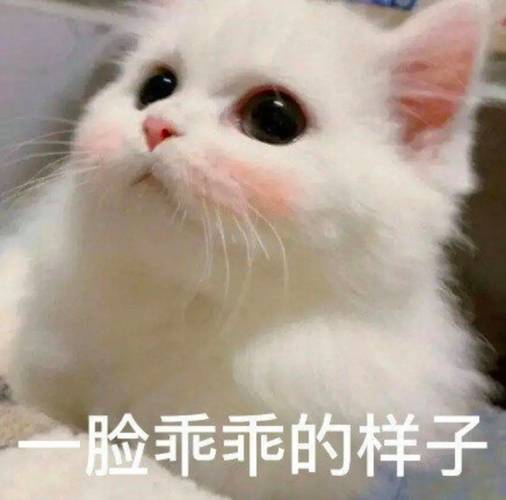 一脸乖乖的样子