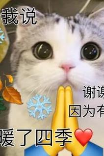 我说 谢 谢 因为有 碍了四季