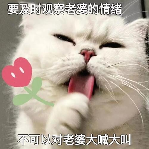 要及时观察老婆的情绪 不可以对老婆大喊大叫
