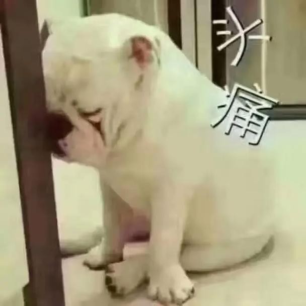 水痛