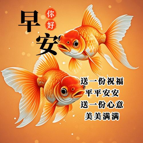早 你好 安 一份祝福 送 平平安安 送一份心意 美美满满