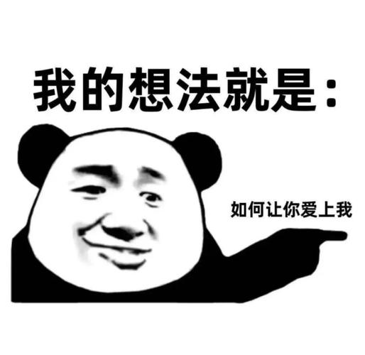 我的想法就是： 如何让你爱上我