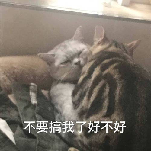 不要搞我了好不好