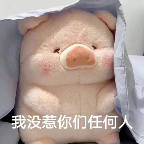 我没惹你们任何人