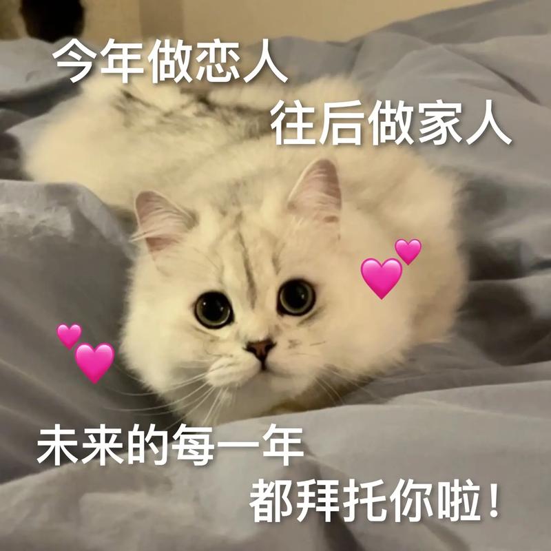 今年做恋人 往后做家人 未来的每一年 都拜托你啦！