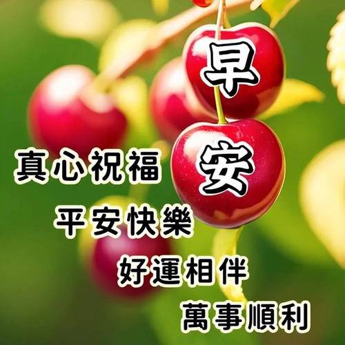 早安 真心祝福 平安快樂 好運相伴 萬事顺利