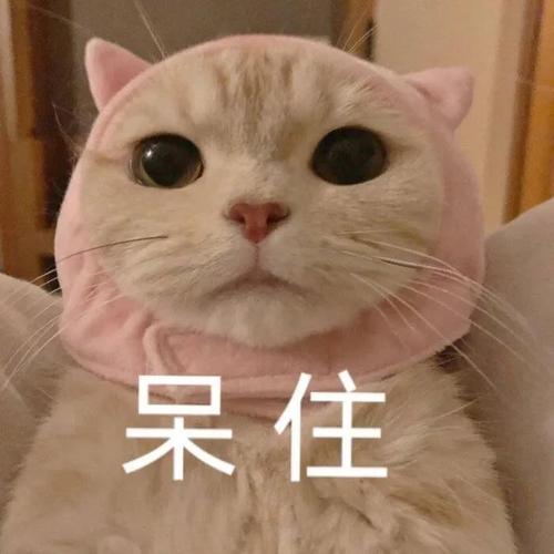 呆住