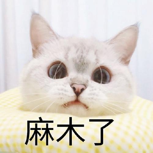 麻木了