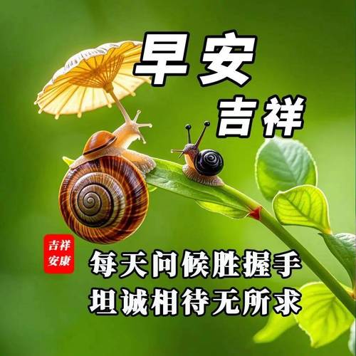 早安 吉祥 吉祥 安康 每天问候胜握手 坦诚相待无所求