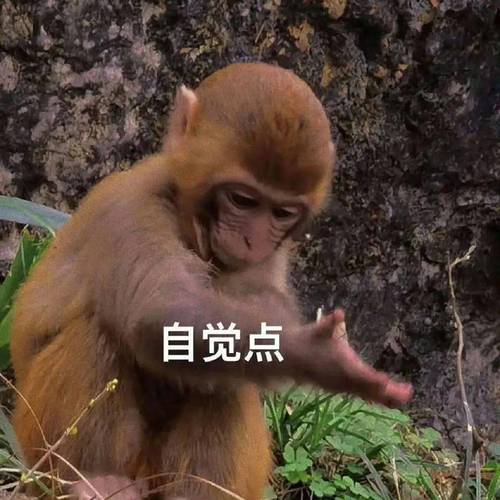 自觉点