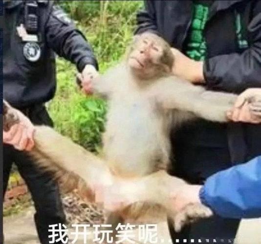 我开玩笑呢