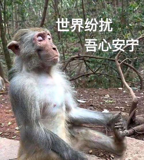 世界纷扰 吾心安宁