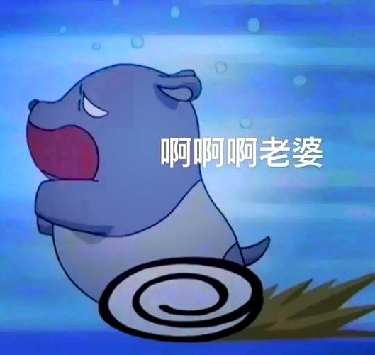 啊啊啊老婆