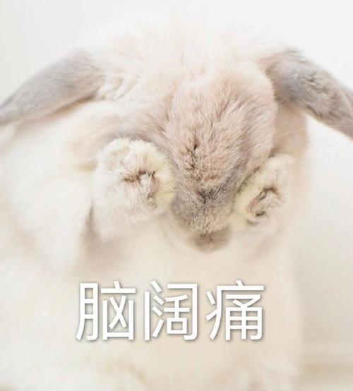 脑阔痛