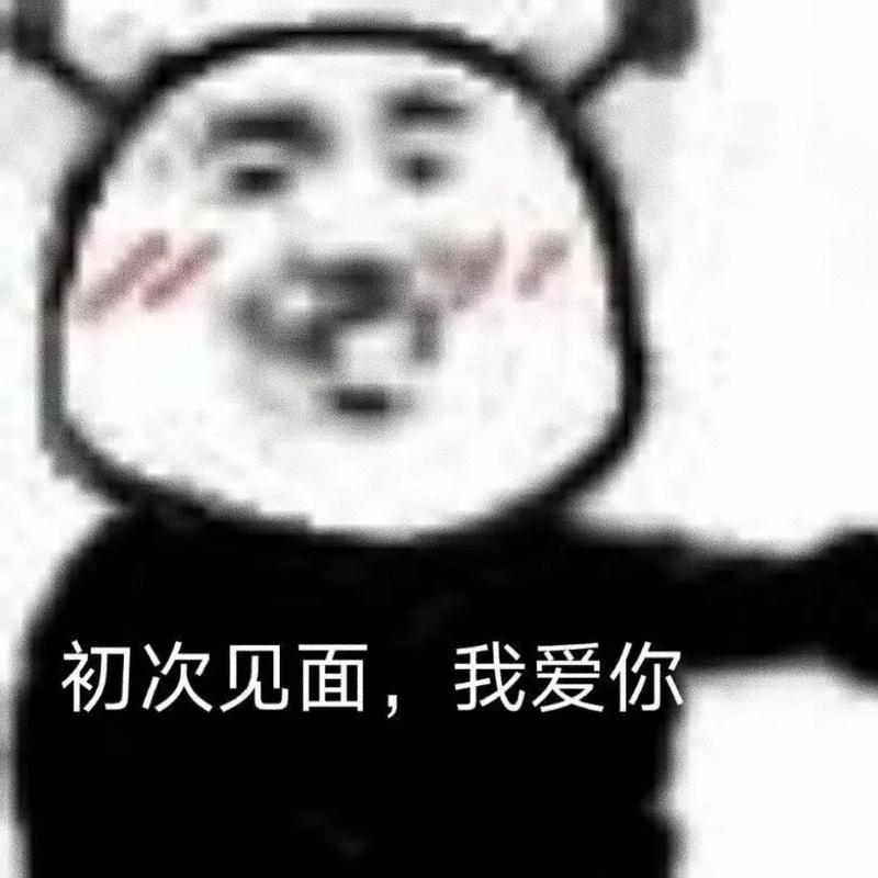 初次见面，我爱你