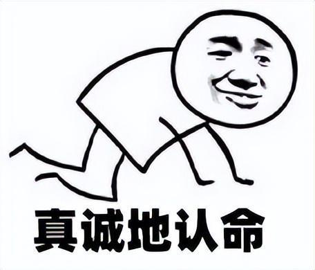 真诚地认命