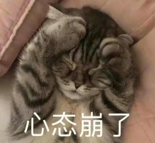 心态崩了