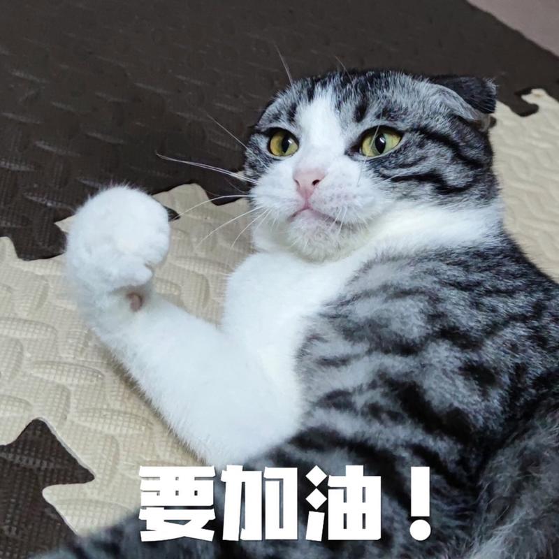 要加油！