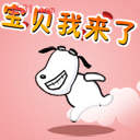 宝贝我来了