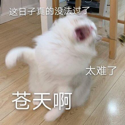 这日子真的没法过 太难了 苍天啊