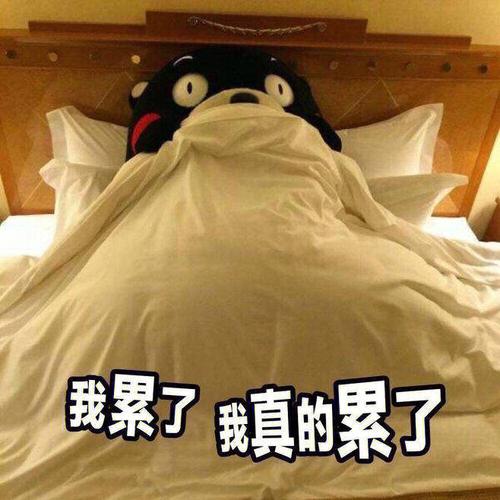我累了 我真的累了