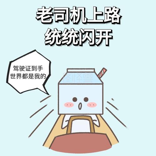 老司机上路 统统闪开 驾驶证到手 世界都是我的