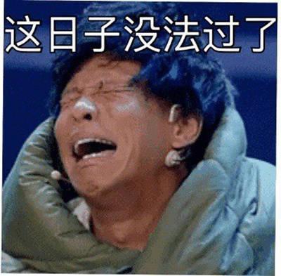 这日子没法过了