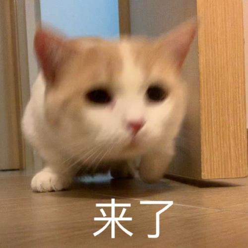 来了 承