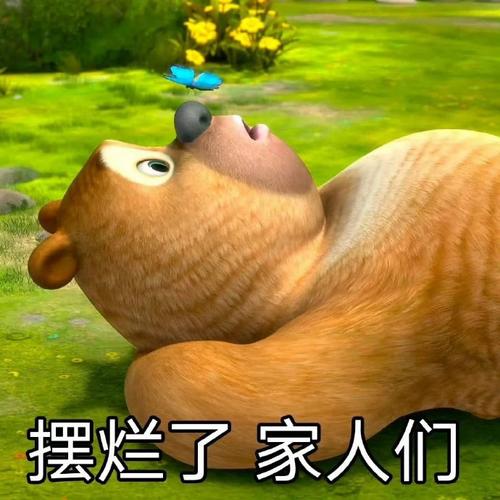 摆烂了家人们