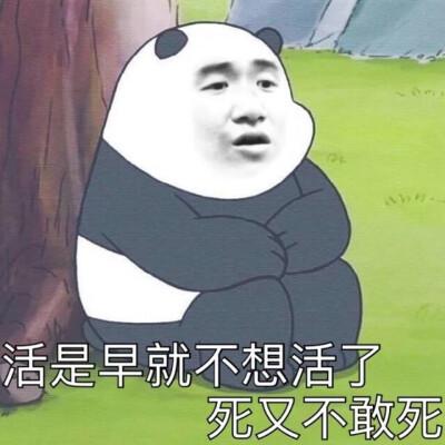 活是早就不想活了 死又不敢死