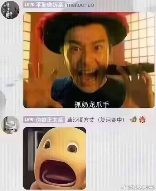 LV70平胸做娇系meitounao 抓奶龙爪手 LV91伪娘正太系 草沙阁方丈（复活赛中）
