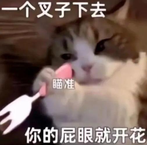 一个叉子下去 瞄准 你的屁眼就开花
