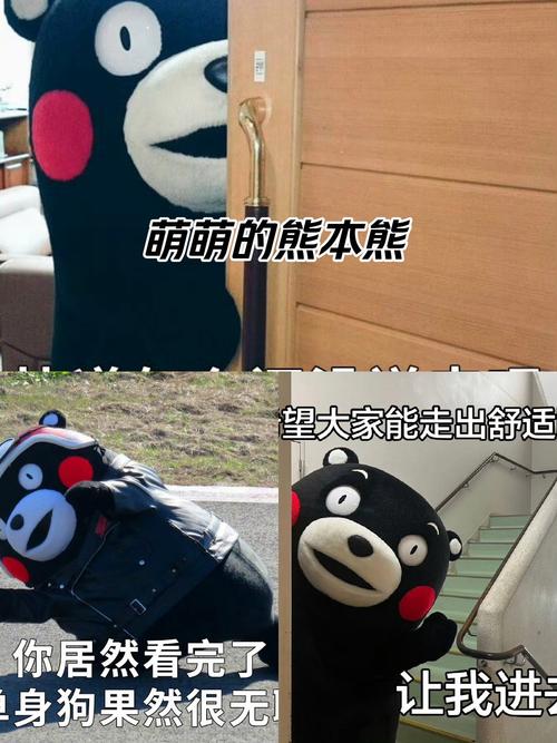 萌萌的熊本熊 望大家能走出舒适 你居然看完了 让我进 身狗果然很无