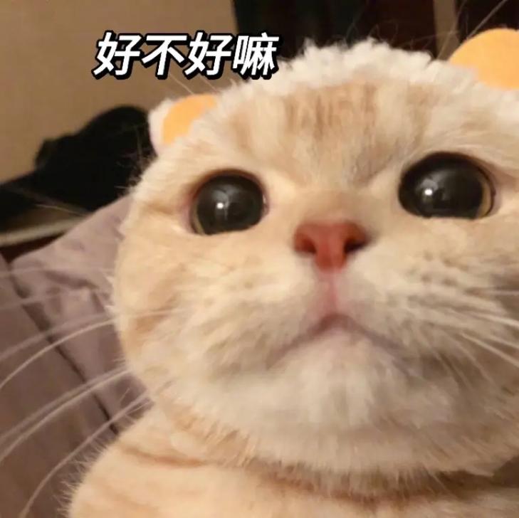 好不好嘛