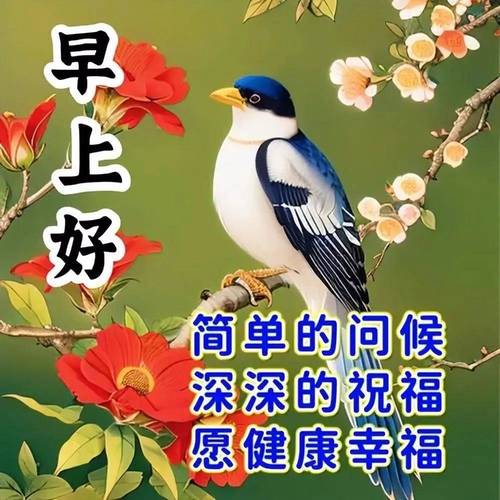 早上好 简单的问候 深深的祝福 愿健康幸福