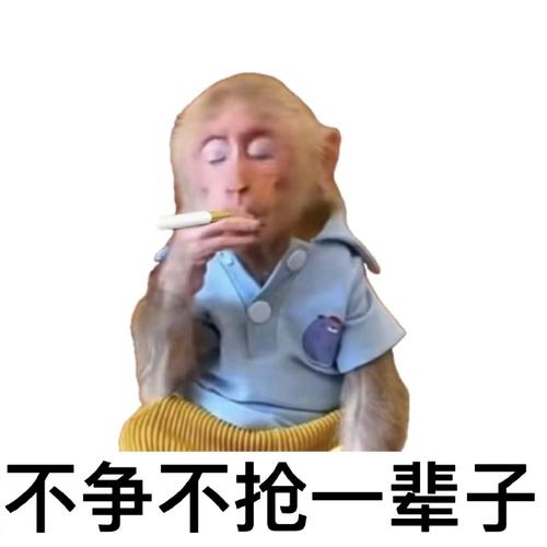 不争不抢一辈子