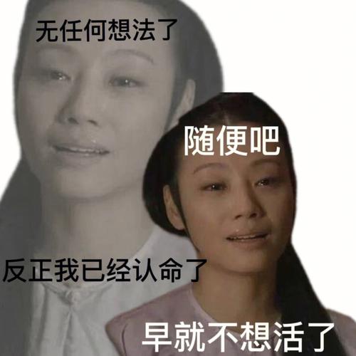 无任何想法了 随便吧 反正我已经认命了 早就不想活了