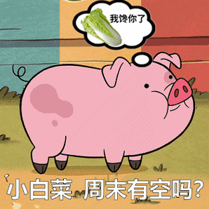 我馋你了 小白菜周末有空吗？
